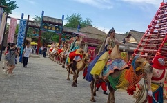 雨宿公交车站第2集樱花